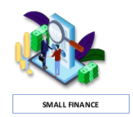 Small Finance